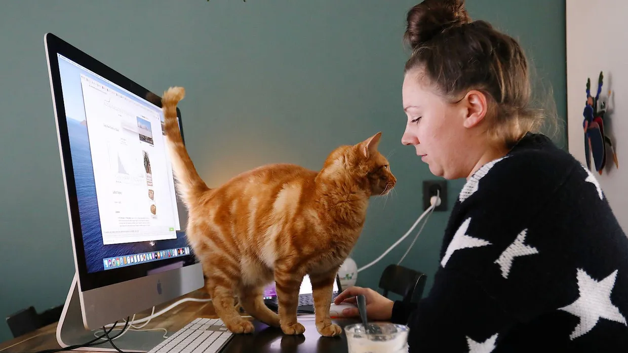 Nicht jede Person fühlt sich im Homeoffice auch bereit, die Kamera für das Onlinemeeting anzuschalten. An Hochschulen und Universitäten kann es aber Probleme geben, wenn Studierende es nicht tun. (Symbolbild)