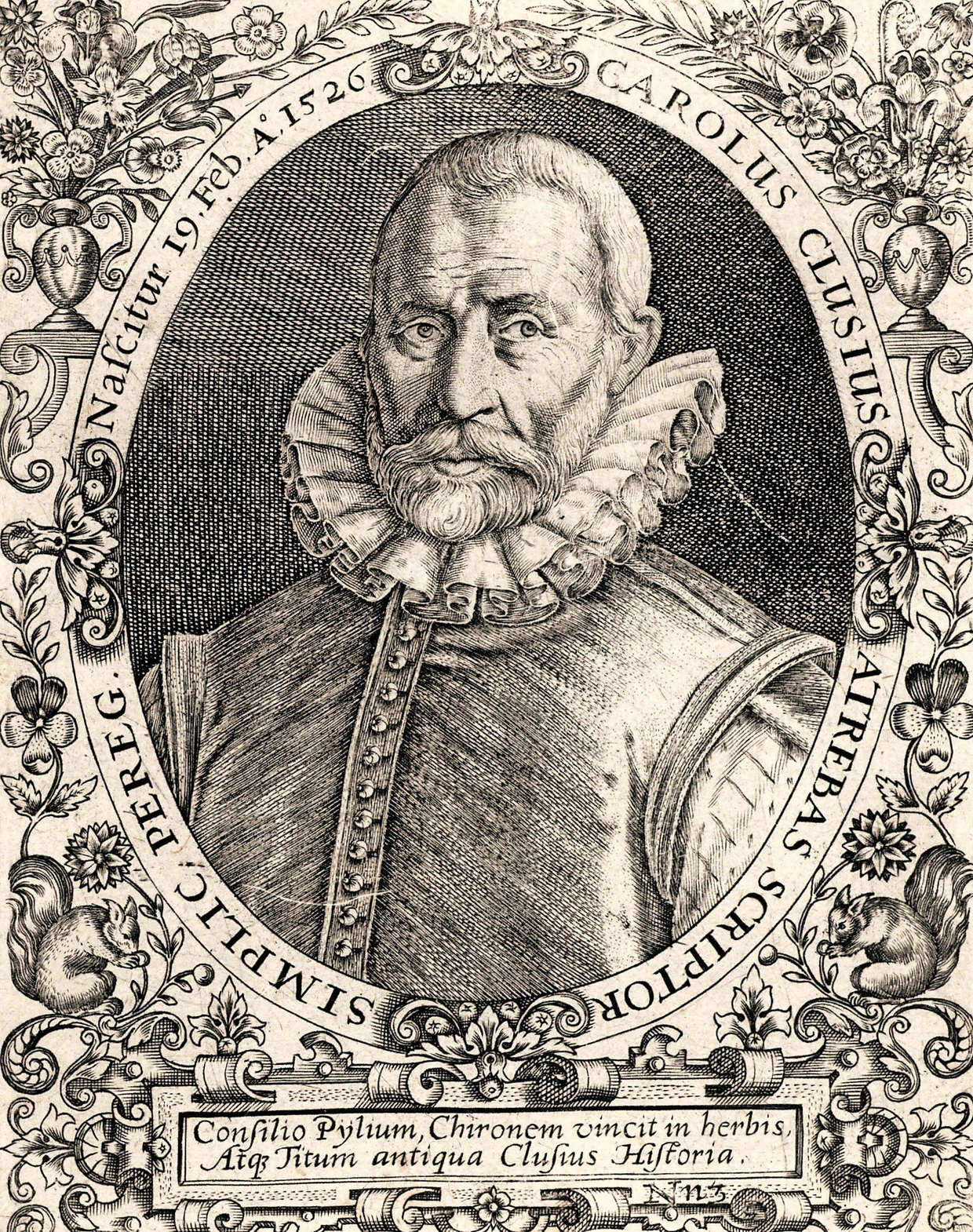 Carolus Clusius, der mutmaßlich erste europäische Tulpenfan