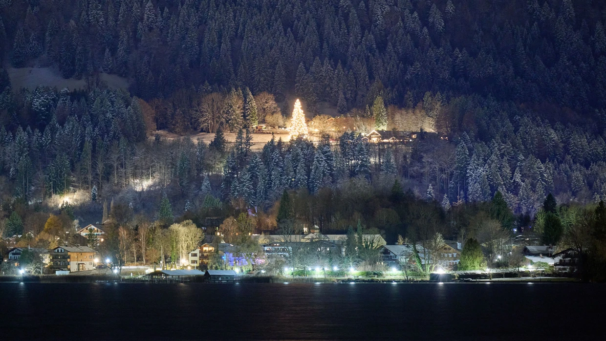 Erhellt die Nacht: Hoeneß' Weihnachtsbaum am Tegernsee