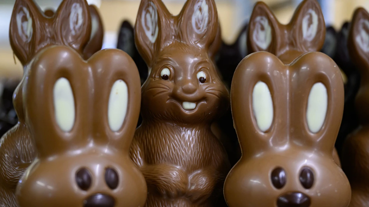 Bitte nicht hinsetzen: Stehende Osterhasen aus Schokoladen in der Confiserie