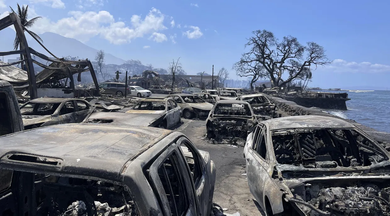 Ausgebrannte Autos stehen nach einem Waldbrand in Lahaina, Hawaii.