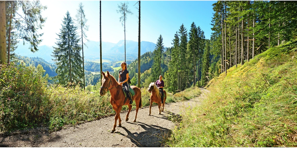 Die alpinen Ausritte führen durch den Nationalpark Kalkalpen.