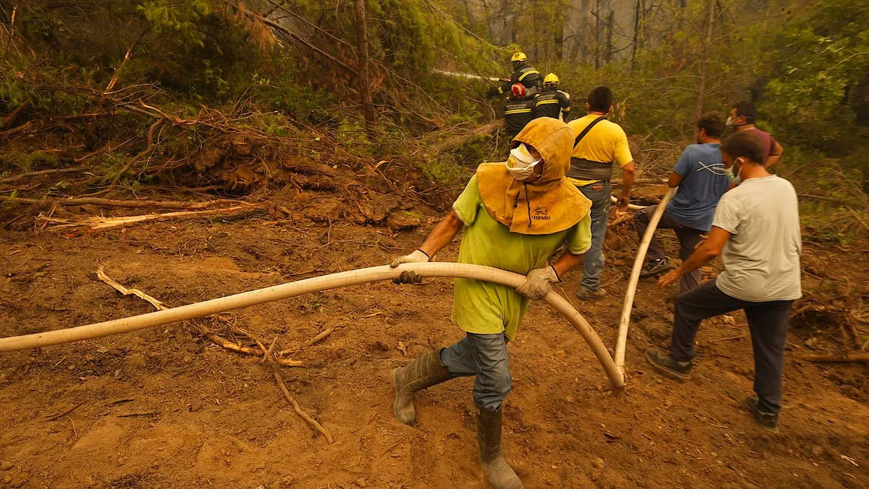 Anwohner helfen Feuerwehrleuten aus Serbien beim Löschen eines Waldbrandes im Dorf Kamaria auf der Insel Euböa.