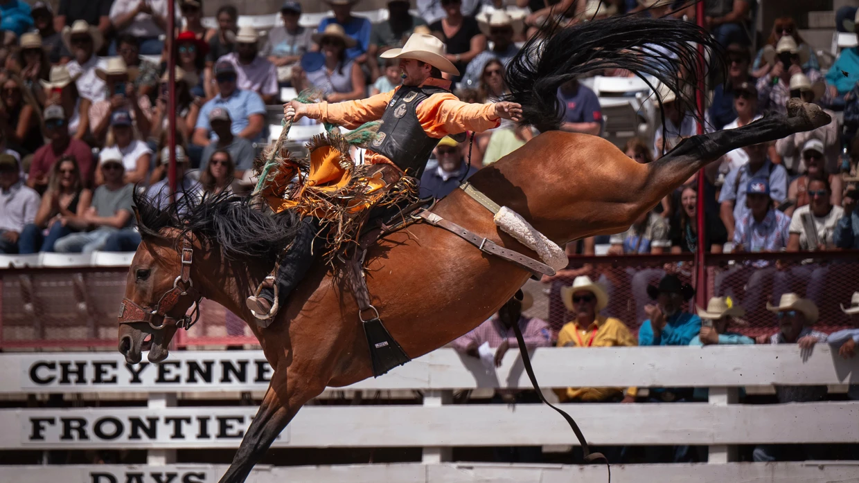 Einhändigkeit und Hartnäckigkeit sind beim Rodeo gefragt: Ob's auch dem Pferd gefällt, ist fraglich.