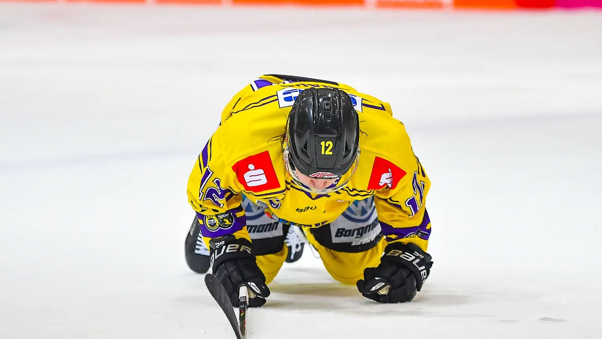 Absturzgefahr: Pinguin Laurin Braun.
