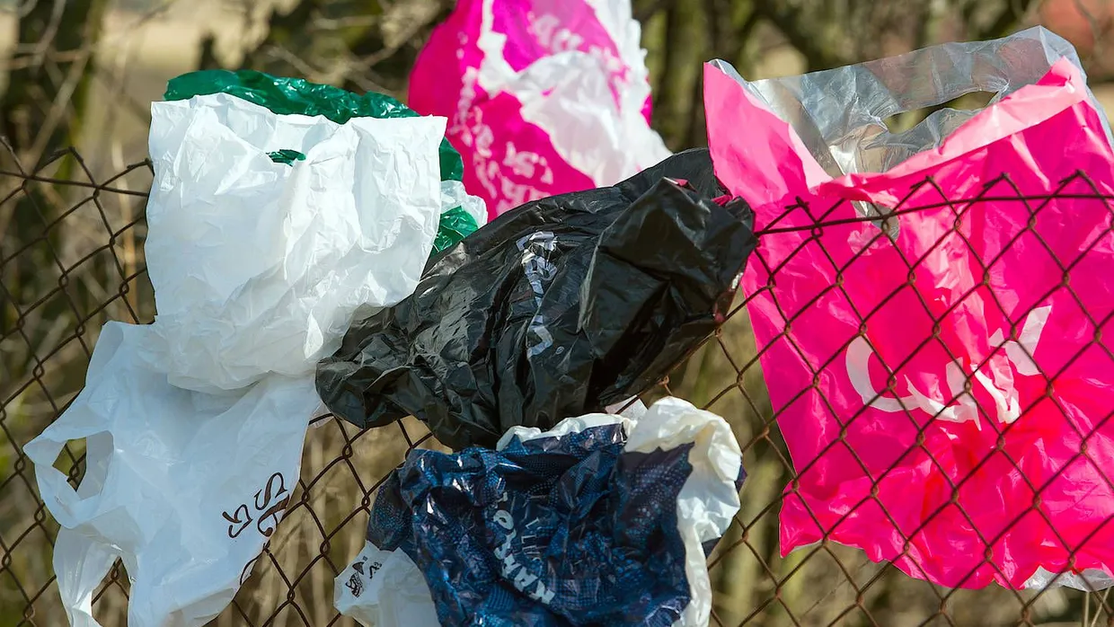 Plastiktüten sind praktisch, verschmutzen aber auch die Umwelt.