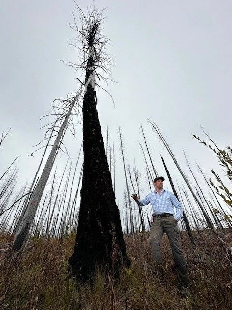 Marshall vor einer verbrannten Douglasie.