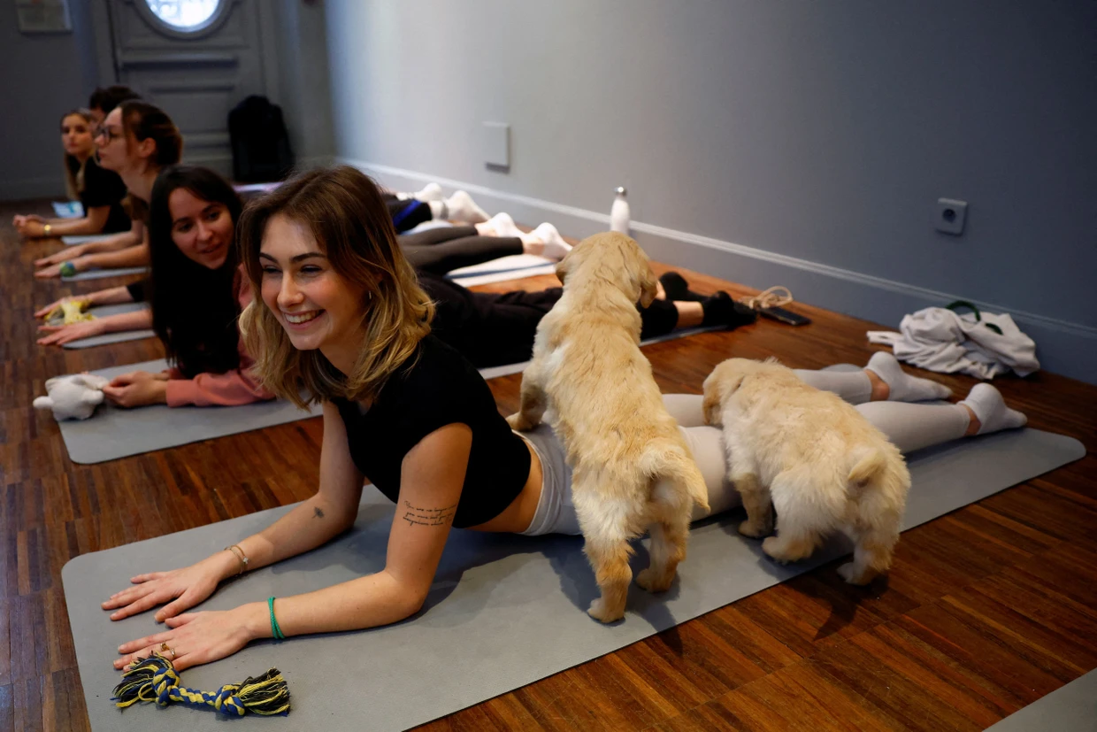 Teilnehmer absolvieren eine Yoga-Übung, während Golden-Retriever-Welpen in einem Studio in Paris während des Kurses um sie herumspielen.