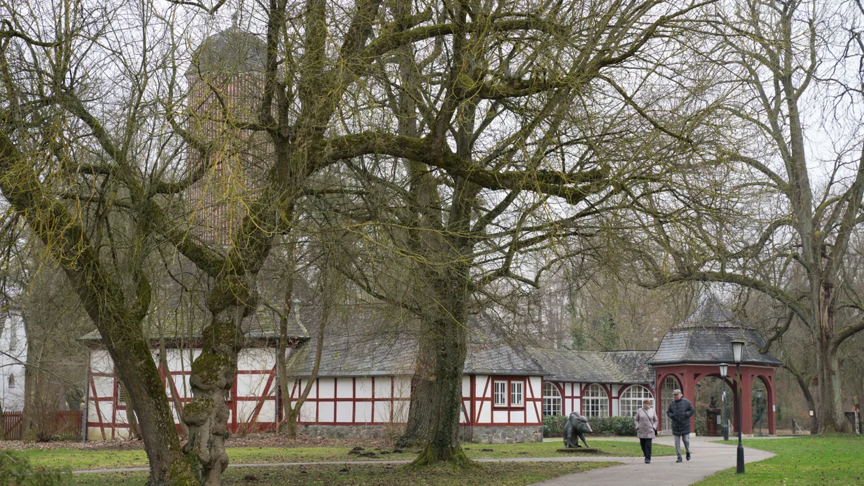 Ruhepol: Blick in einen kleinen Teil des Kurparks von Bad Salzhausen. Die Trinkkurhalle aus Fachwerk ist derzeit eingerüstet und wird modernisiert