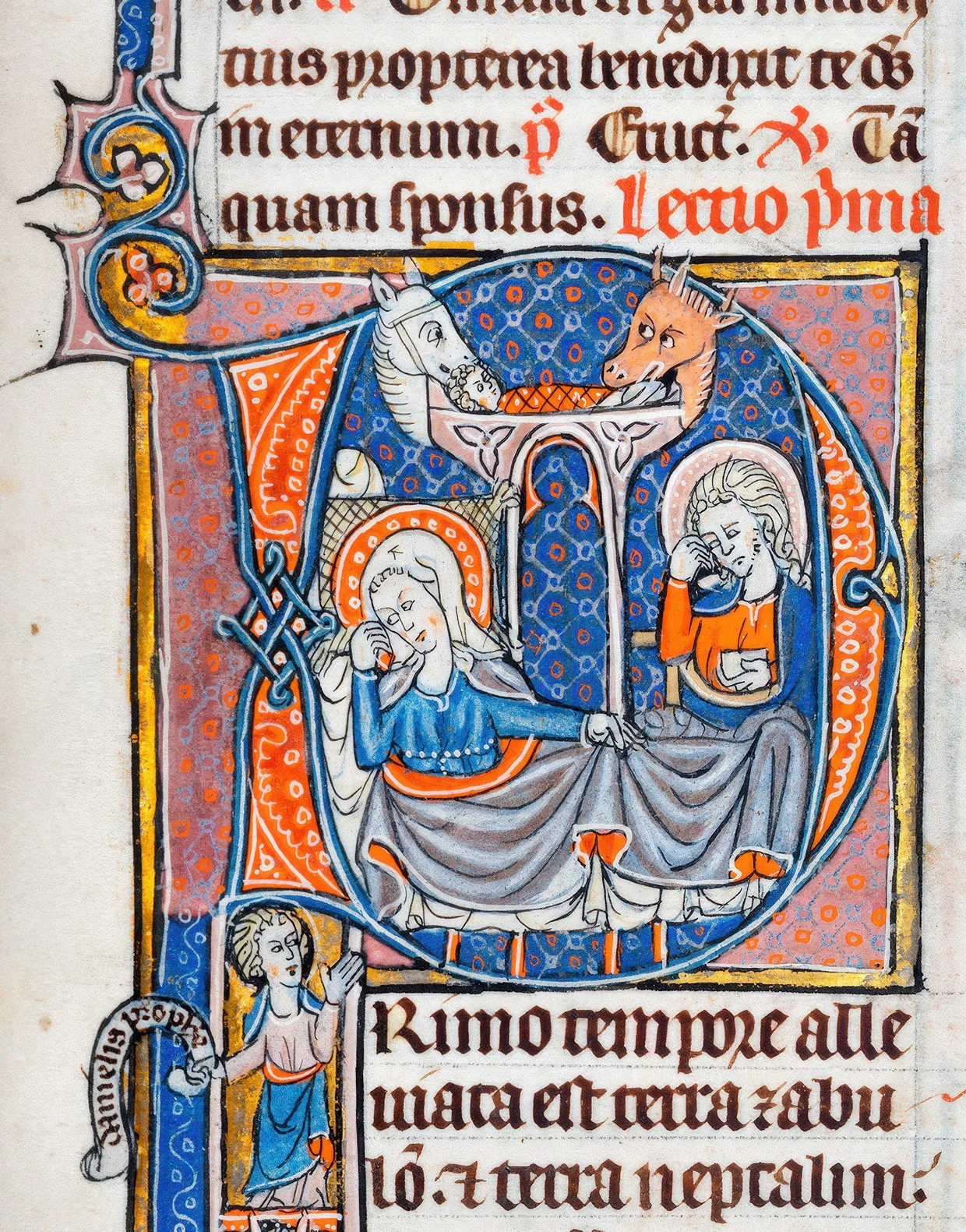 Wer knabbert da an meinem Haar? Eine Darstellung von Ochs und Esel an der Krippe aus dem Psalter-Breviar, entstanden um 1300