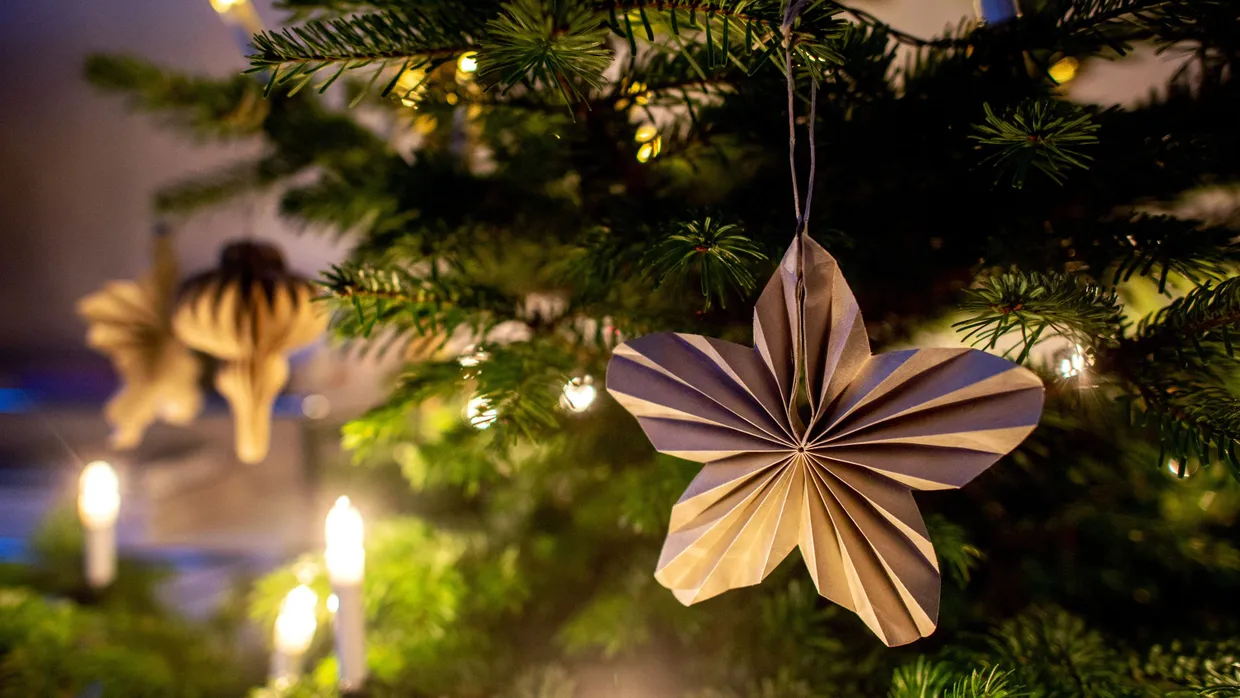 Hat Durst: Ein Weihnachtsbaum im Wohnzimmer braucht Wasser.