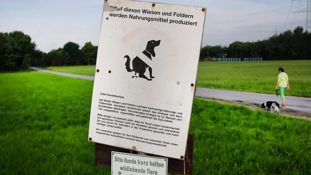 Kostspielige Entsorgung: Kotbeutel für Hunde sorgen für reichlich Plastikmüll (Symbolbild).