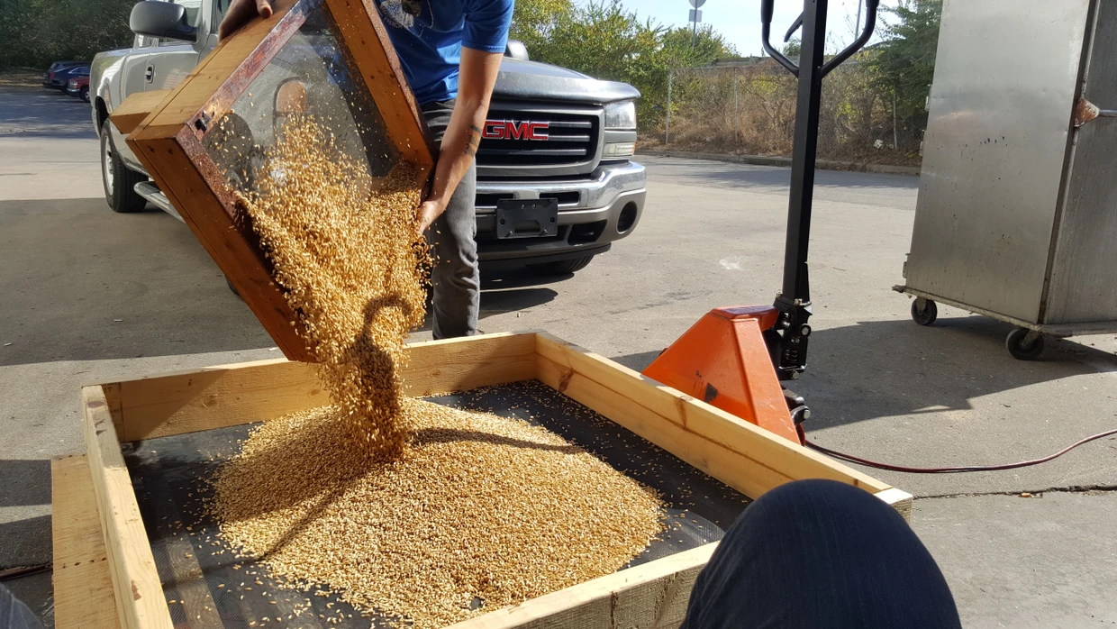 Vorbereitungen zum Malzräuchern in Kentucky