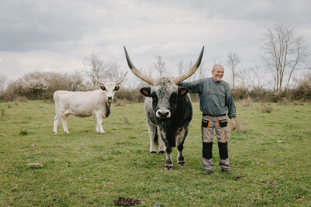 Der Aktivist Sandor Mester auf der Weide gegenüber der illegalen Deponie