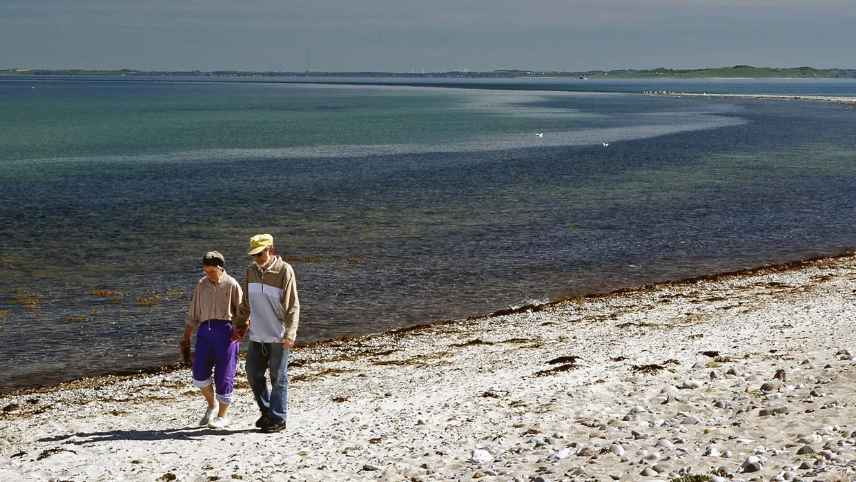 Ein älteres Paar geht am Strand der dänischen Insel Sejerø spazieren.