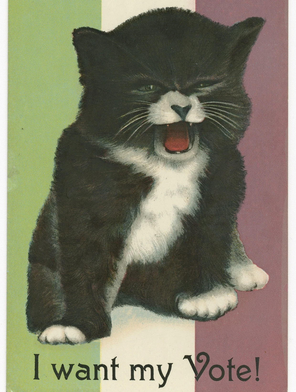 Als fauchende Kätzchen wurden die Suffragetten ins Lächerliche gezogen.