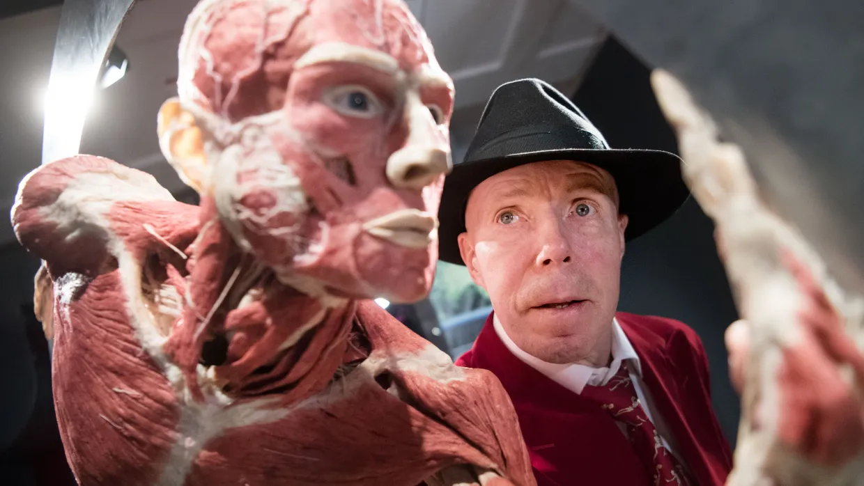 Der Plastinator Gunther von Hagens steht hinter seinem Lebenswerk. Für seine großen Ausstellungen „Körperwelten“ arrangierte der Arzt tote, menschliche Körper, zum Beispiel auf Kutschen oder beim Geschlechtsverkehr.