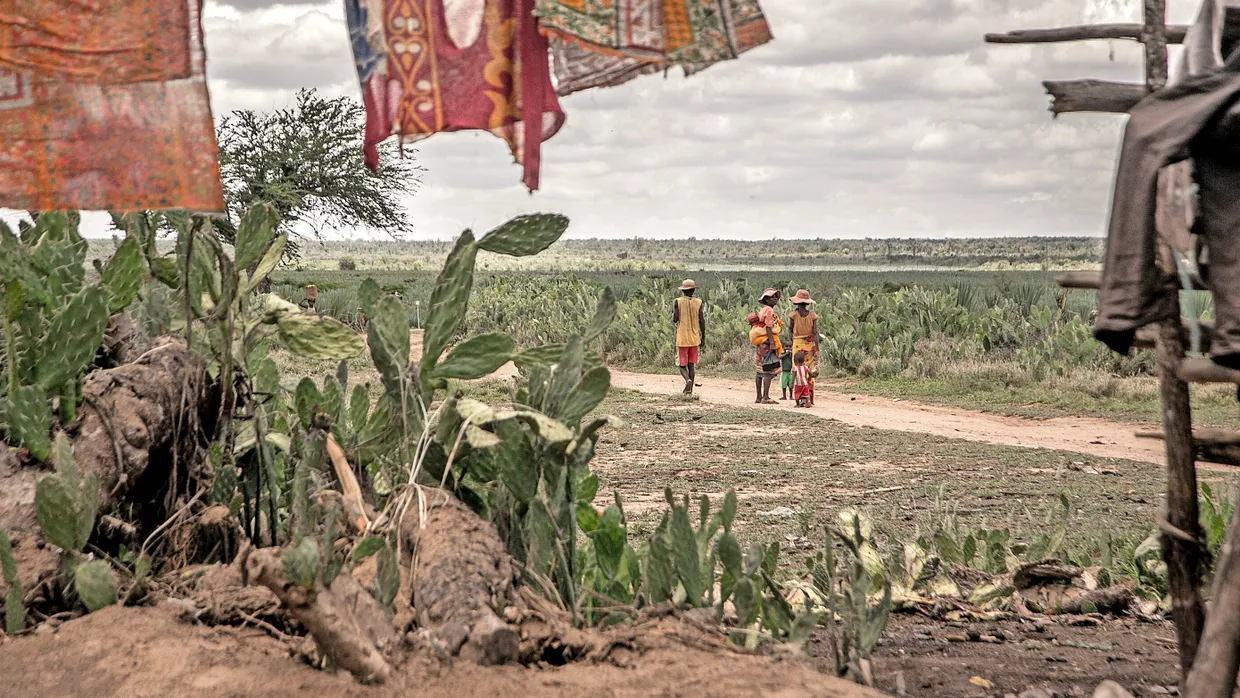 Rund 700 Millionen Menschen auf der Welt haben nicht genug zu essen. Besonders schlimm ist es derzeit auf der Insel Madagaskar, wo eine Dürre die Ernte vernichtet hat