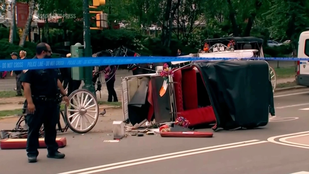 Zu gefährlich: Im Juni entlief im Central Park ein Kutschpferd, ein Tourist aus Indien kam ums Leben.
