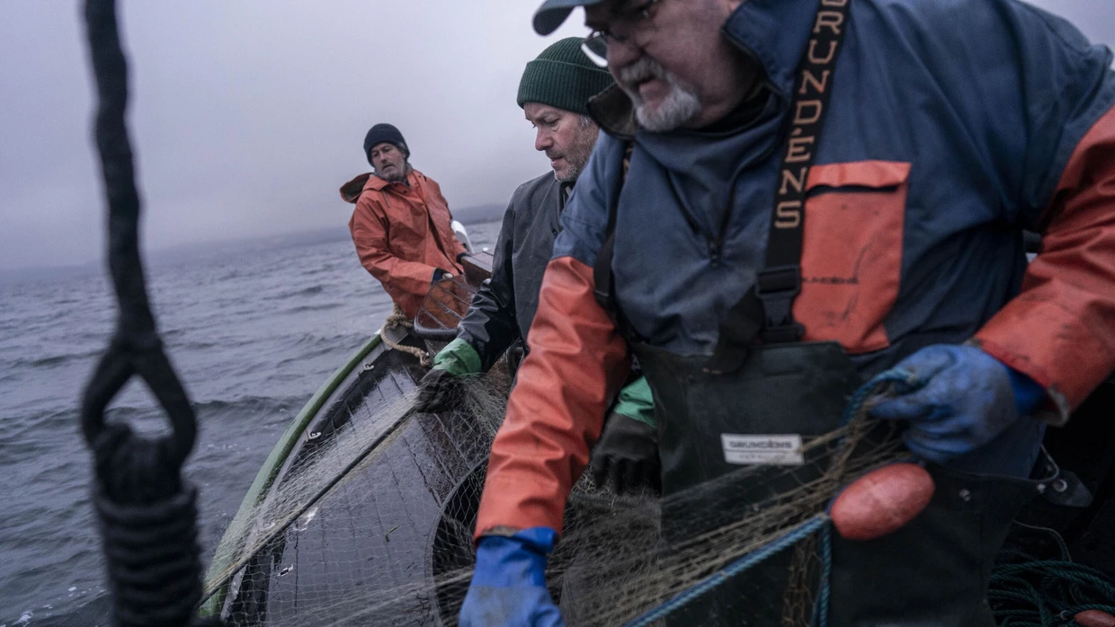 Mathias Ravanis Netzfischen in Schweden: Wie zwei Brüder um ihre Freiheit und Tradition ...