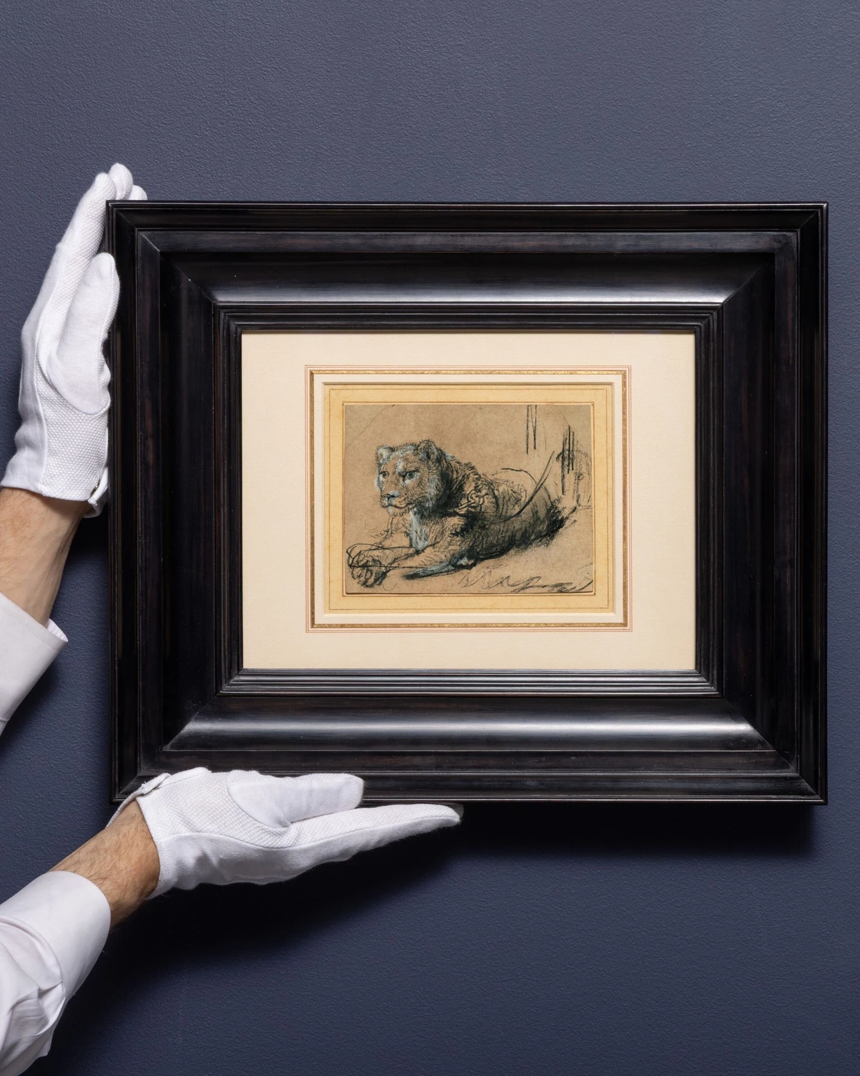  Rembrandts Zeichnung „Young Lion Resting“