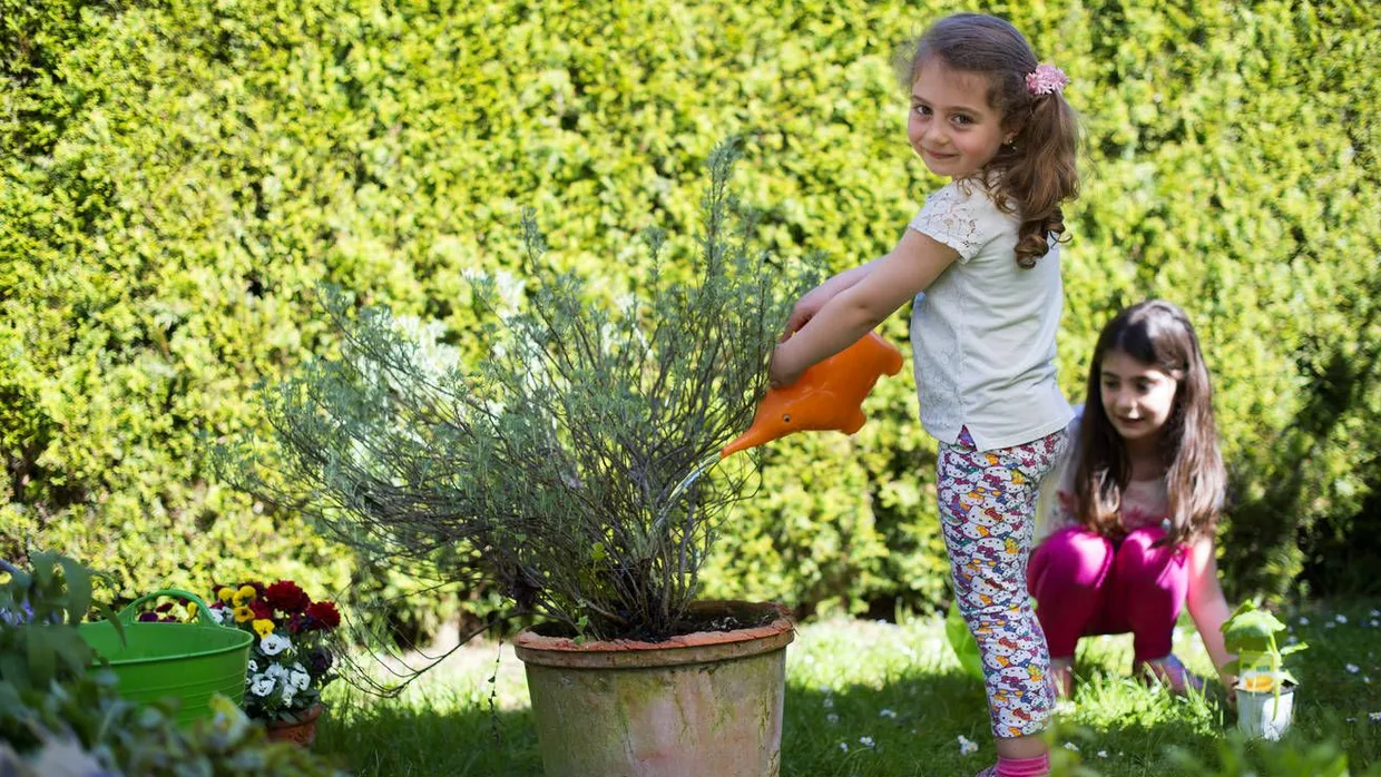 Früh übt sich: Gärtnern ist kinderleicht und geht auch ohne großen Aufwand.