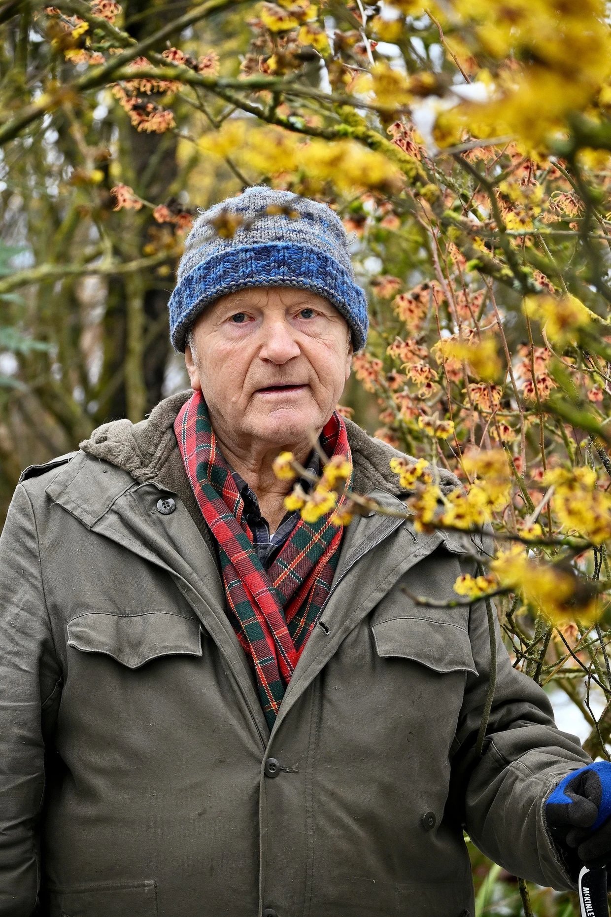 Jobst Biester hegt und pflegt Zaubernüsse seit mehr als 40 Jahren.