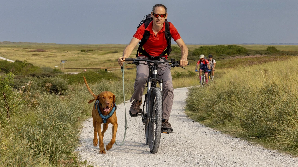 Bewegung ist ein Weg, Herz und Kreislauf gesund zu halten.
