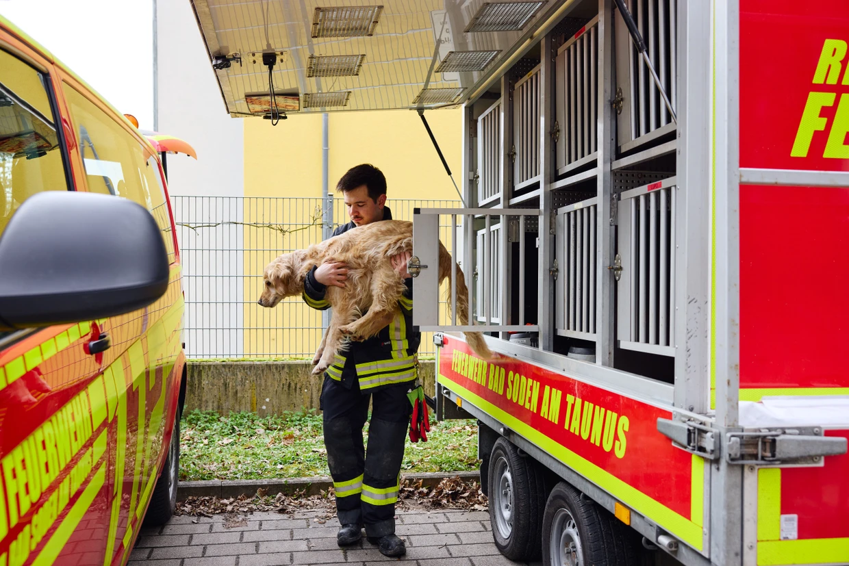 Henry darf aus der Box. Zusammen mit Marlin Prauss bildet er ein festes Team.