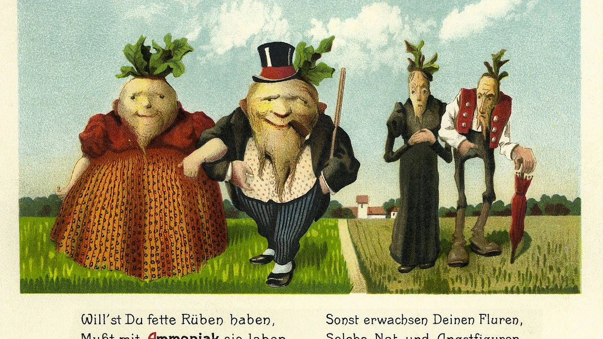 kartoffelstärke dünger Kartoffelstärke 250g