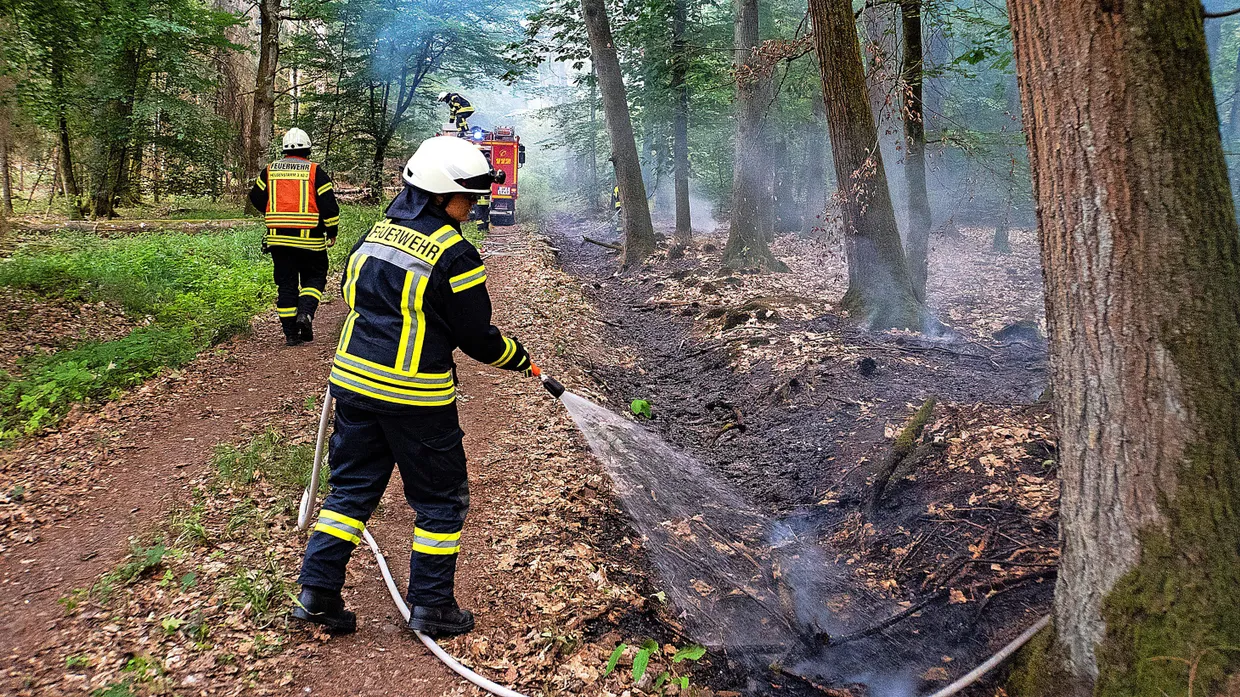 Dauereinsatz: Die Feuerwehr muss immer wieder Brände im Heusenstammer Wald löschen.