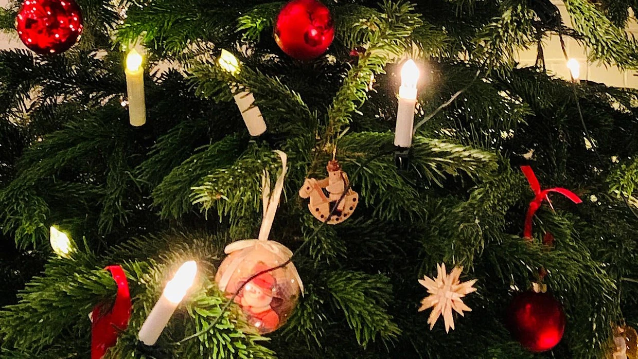 Die richtigen Lichterketten für den Weihnachtsbaum
