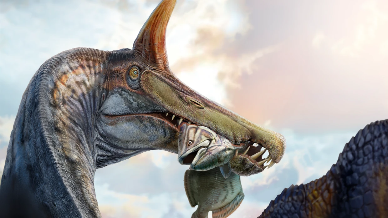 Mahlzeit vor 100 Millionen Jahren: Rekonstruktion des Spinosaurus mirabilis