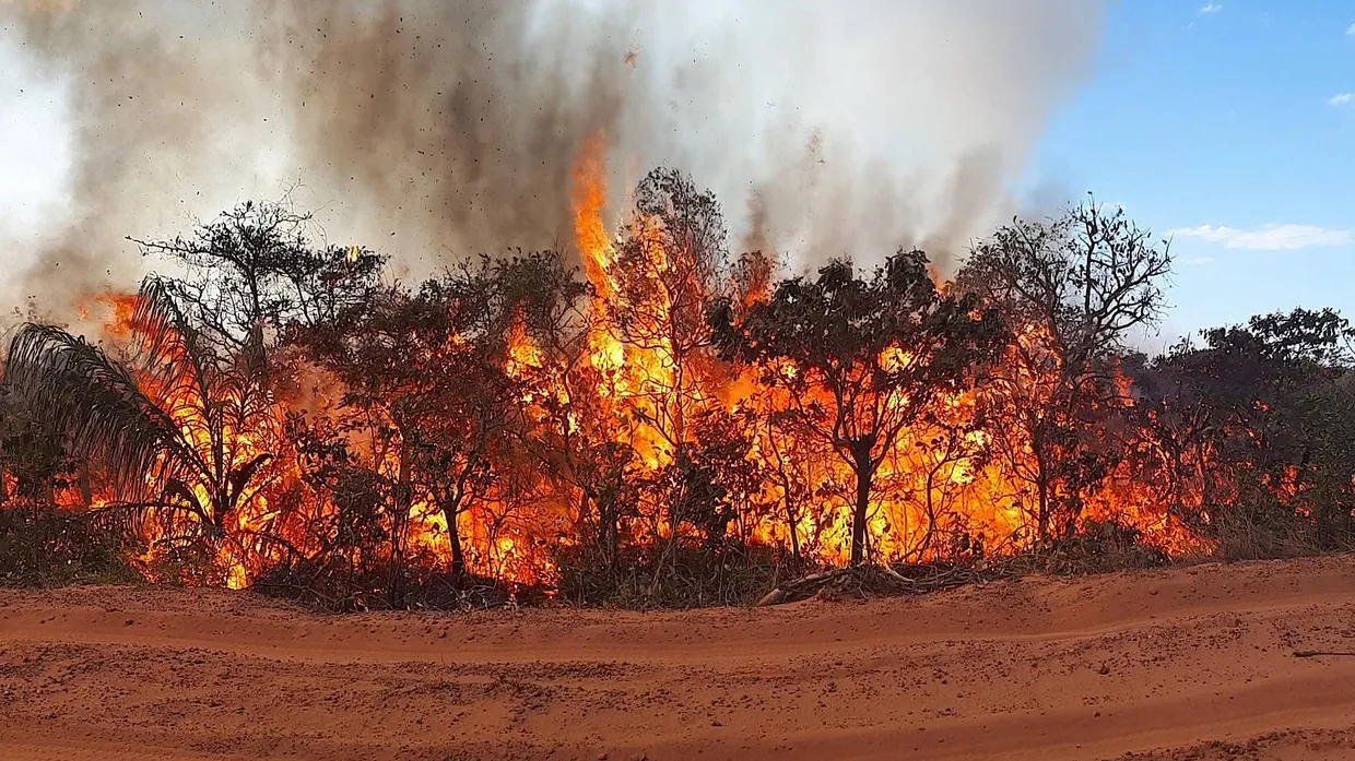 Waldbrand im Naturpark Chapada dos Guimaraes im brasilianischen Amazonasgebiet.