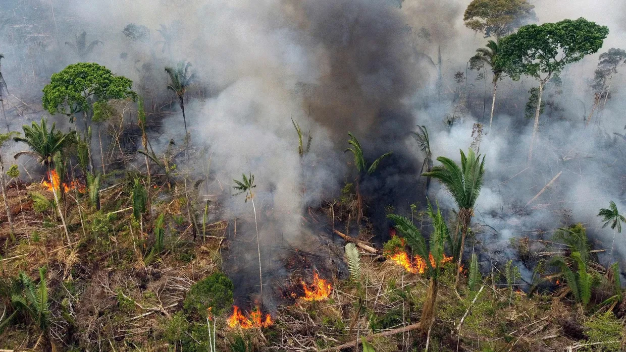 Brandrodung im brasilianischen Bundesstaat Amazonas