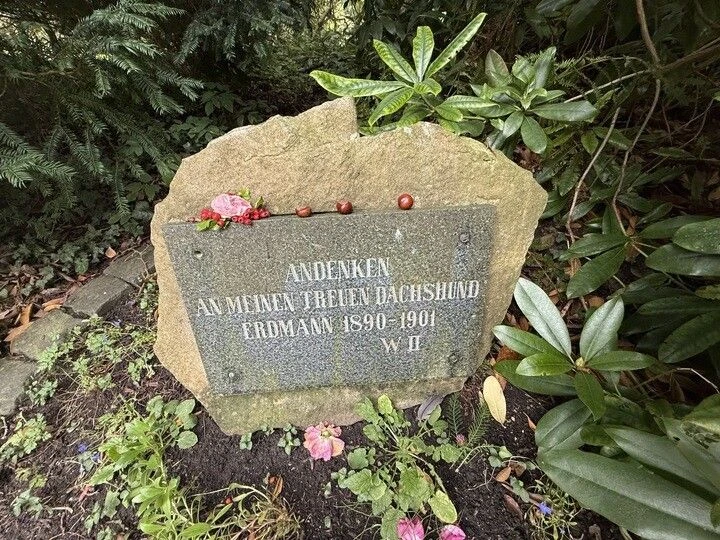 Gedenkstein für Erdmann im Park Wilhelmshöhe