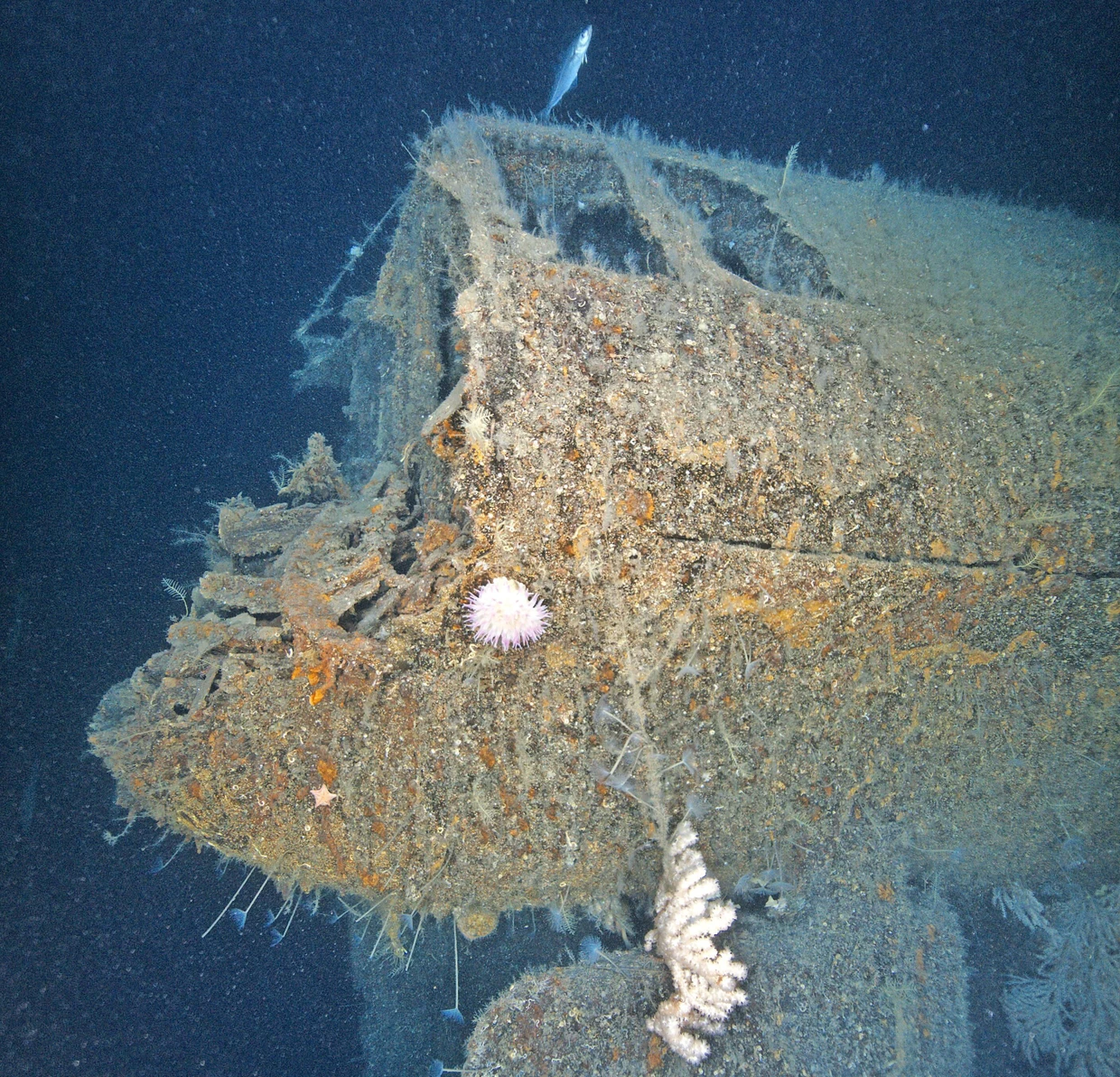 Das Wrack liegt in 150 Metern Tiefe und ist in zwei Teile zerbrochen.