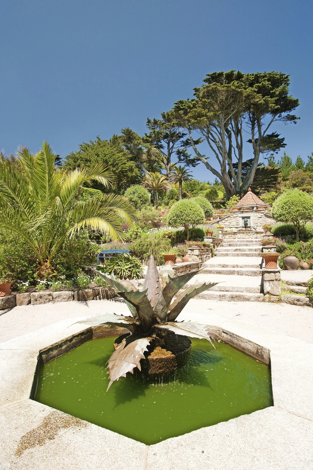 Blickfang: der Agavenbrunnen