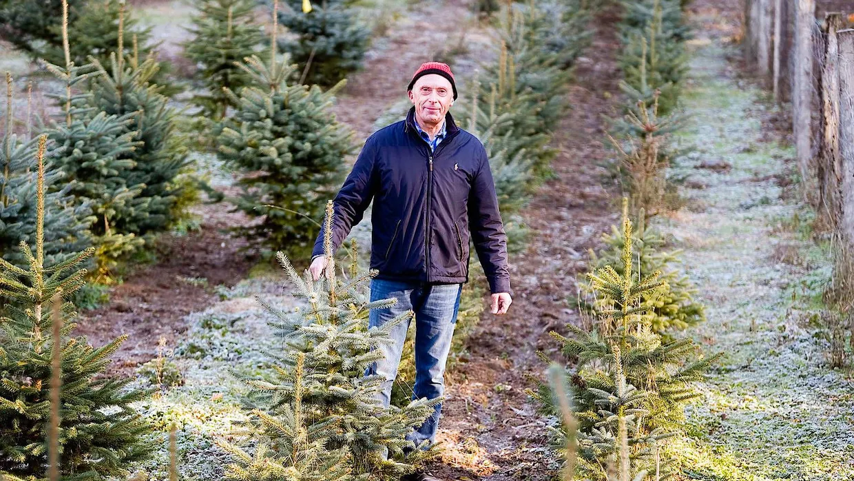 Ausgleich zum Alltagsjob: Claus Rottstedt betreibt in Hammersbach im Main-Kinzig-Kreis eine ein Hektar große Weihnachtsbaumplantage.