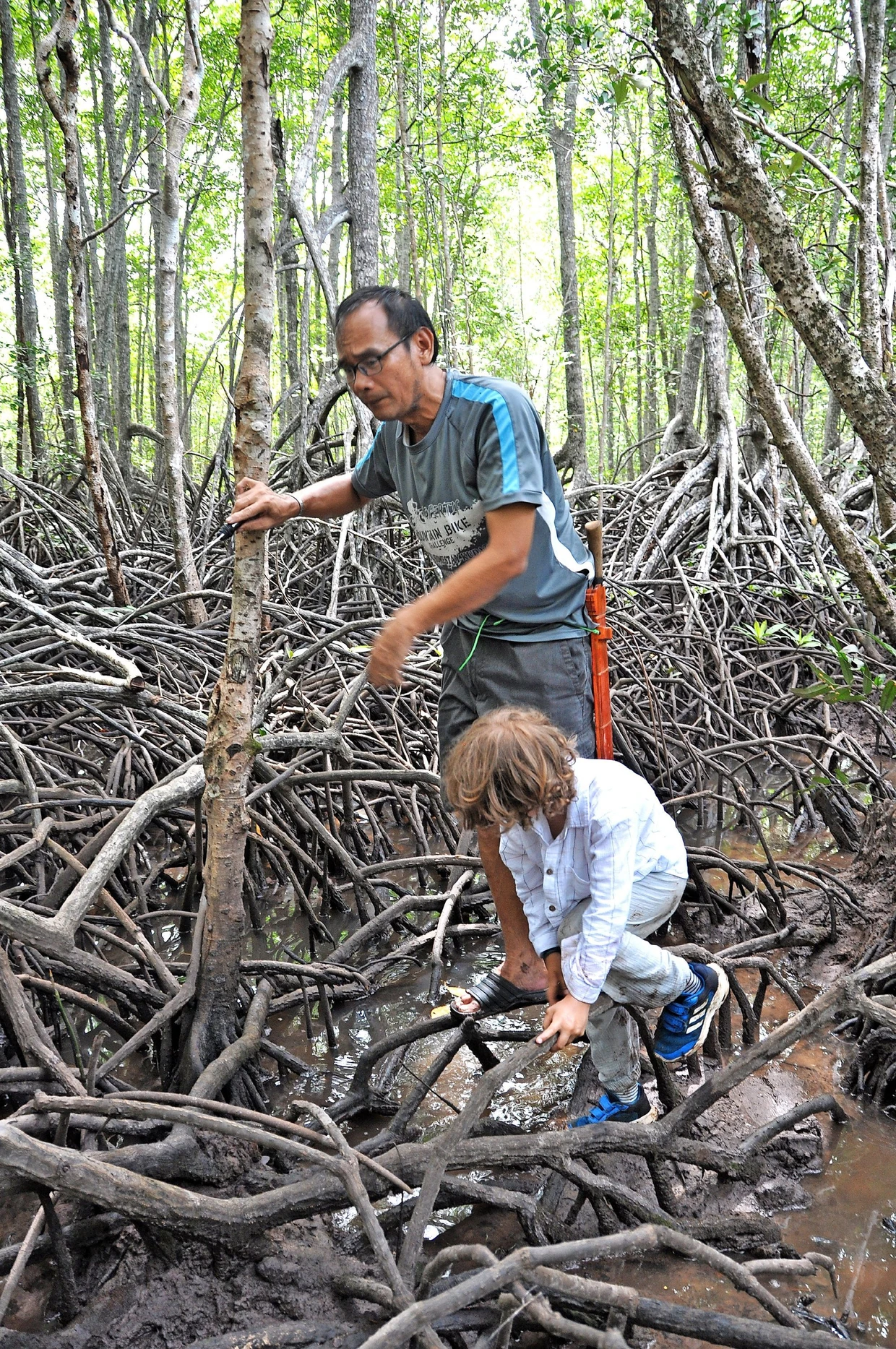 Mit Jeffry Yahya in den Mangroven