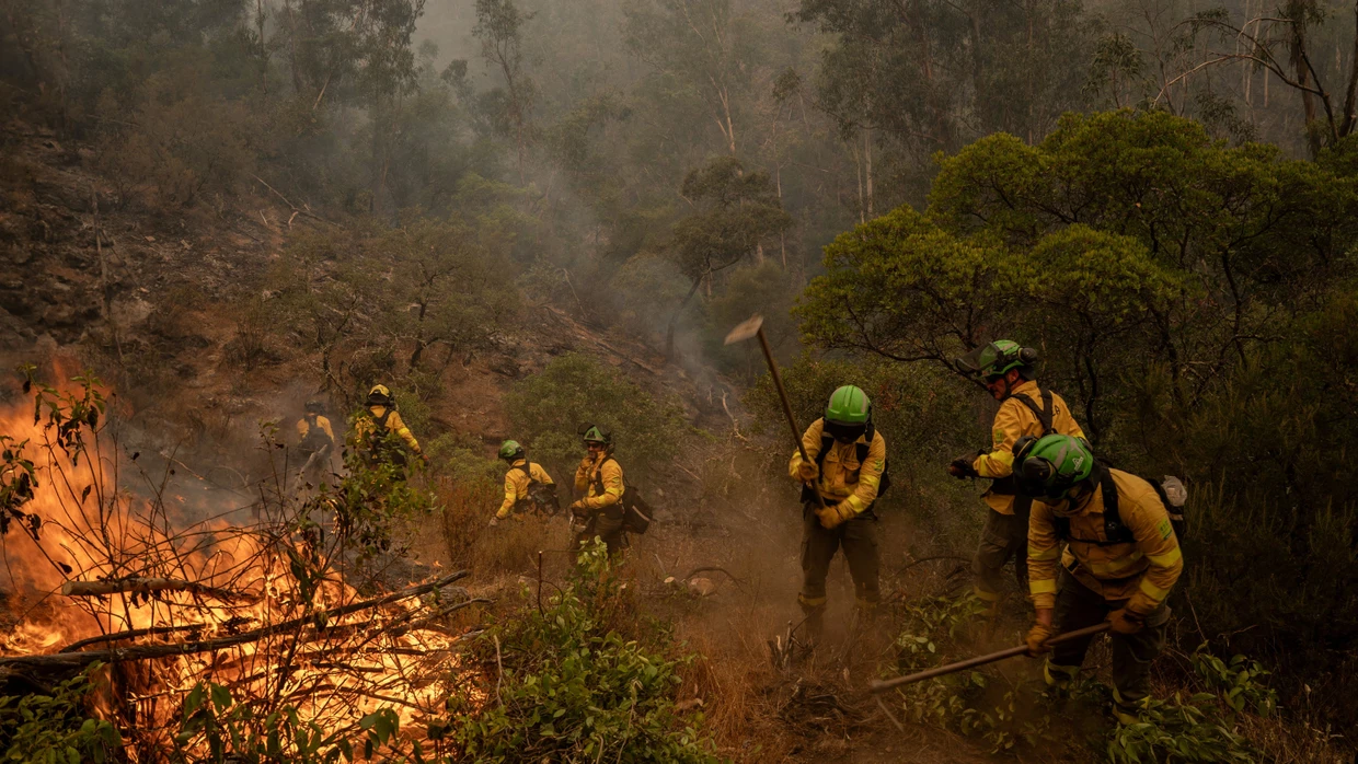 Die Feuerwehr ist bei Niebla im Einsatz.