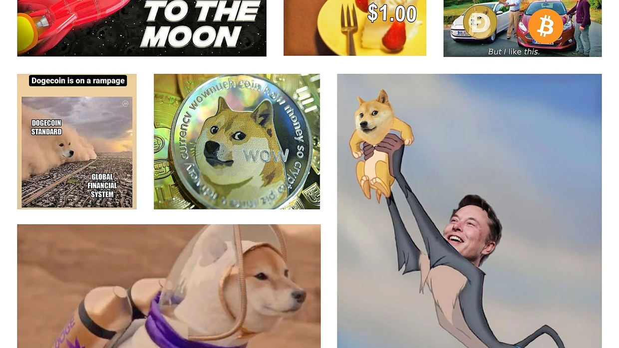 Kryptowährung Dogecoin: Der Milliarden-Dollar-Spaß | FAZ