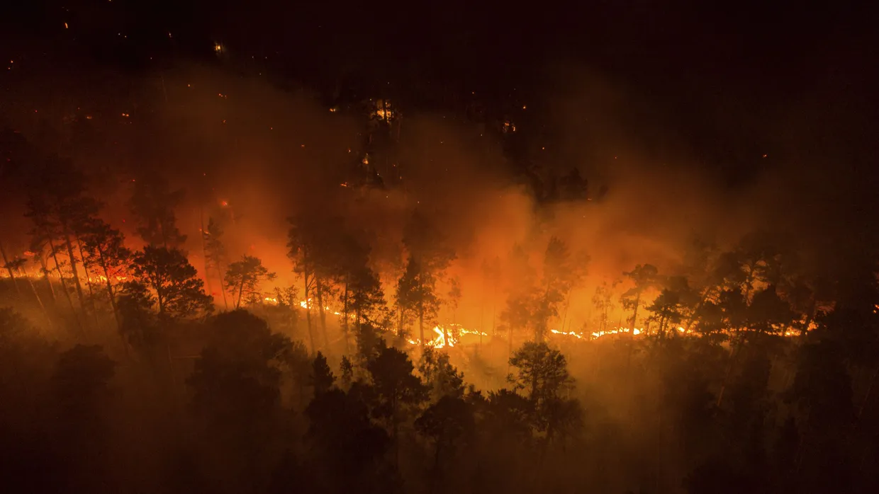 Ein Waldbrand in der Region Krasnojarsk
