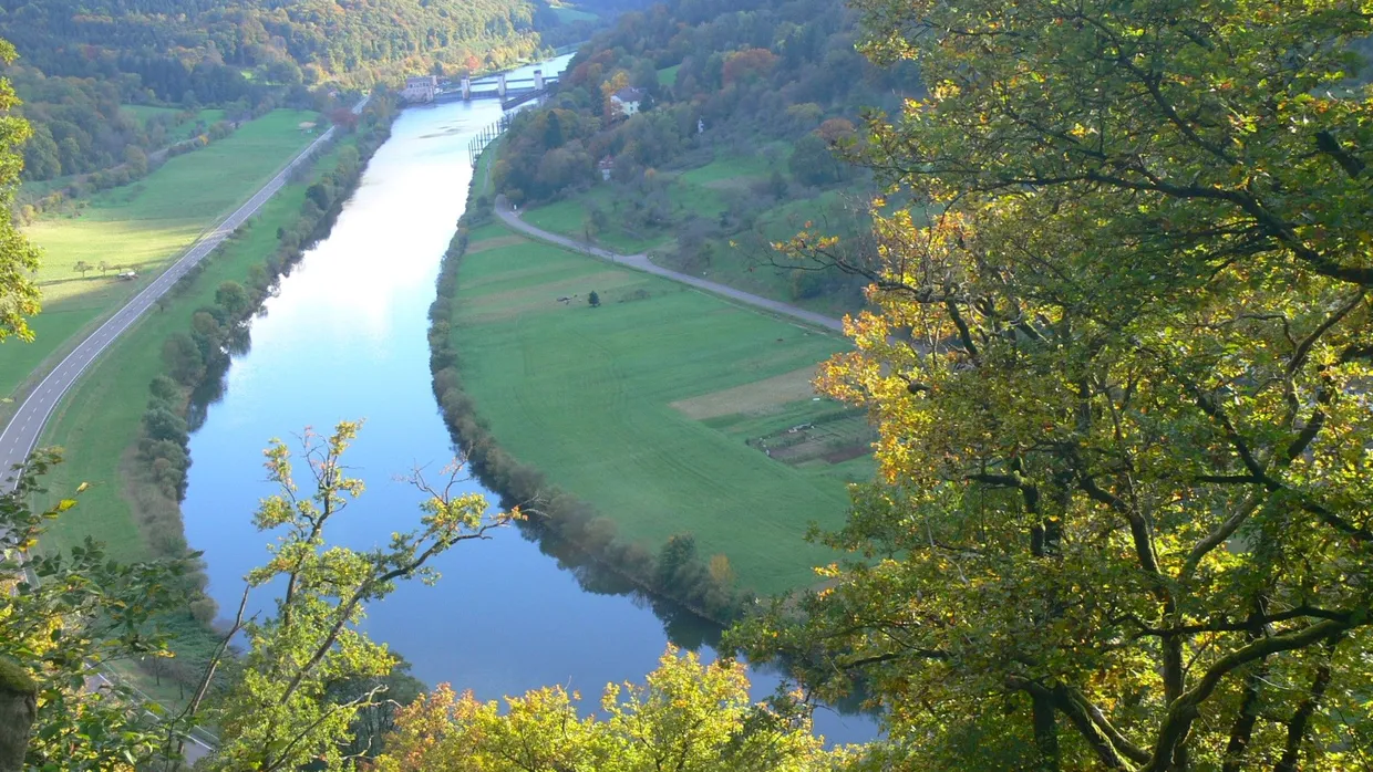 Farbspiel: Die Laubbäume am Neckar werden im Herbst bunt wie hier unterhalb der Teufelskanzel.
