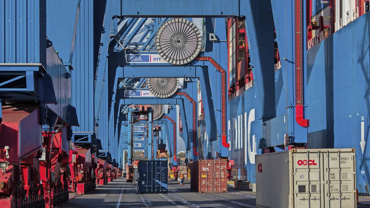 Chinesischer Fuß in deutscher Tür: Containerterminal Tollerort im Hamburger Hafen