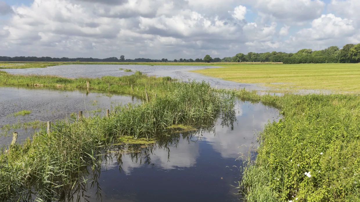 Sommerhochwasser nach Starkregen an der Oberalster Mitte März in Schleswig-Holstein