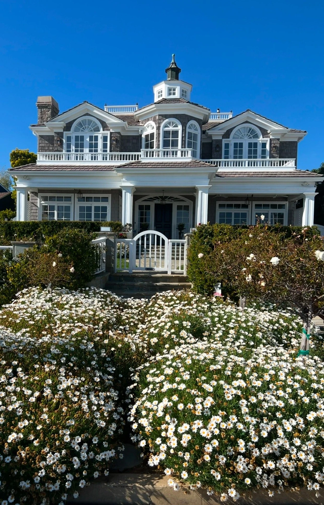 Amerikanischer Traum in Blauweiß: Das ehemalige Haus der Familie mit Blick auf den Ozean