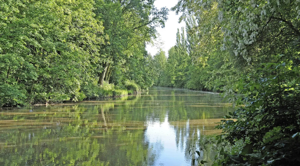 Idylle im Grüngürtel: Der Nidda-Altarm in Bonames