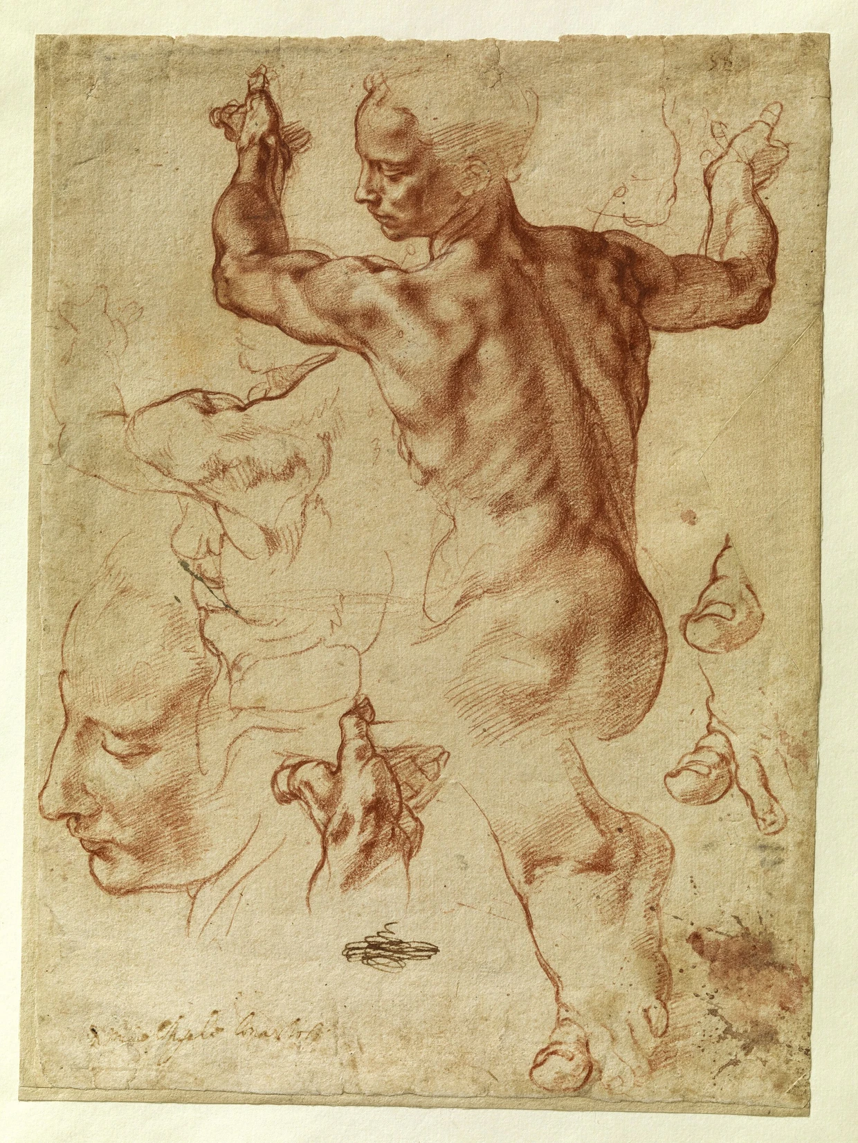  Studie Michelangelos für die libysche Sibylle