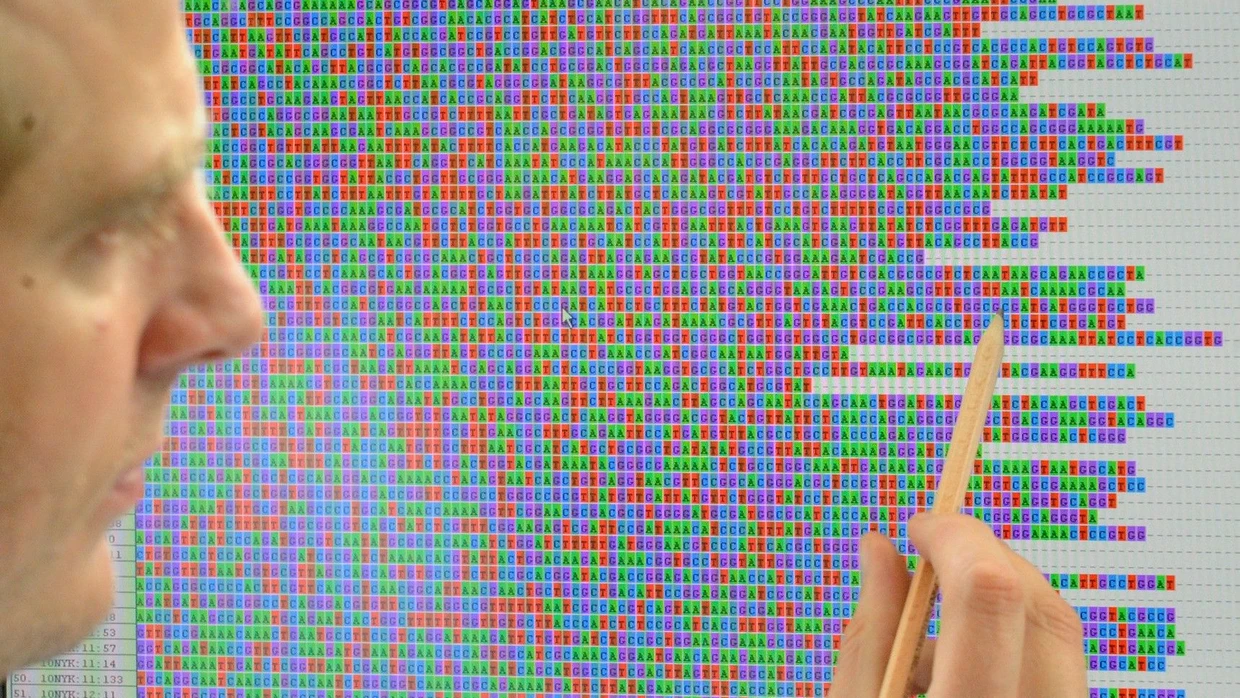 Mehr Rassen 2500 Genome entziffert: Von Rassen redet keiner mehr | FAZ
